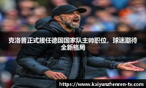 开云真人